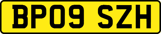 BP09SZH