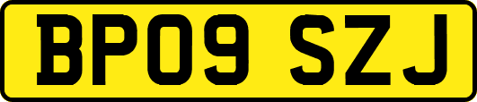 BP09SZJ