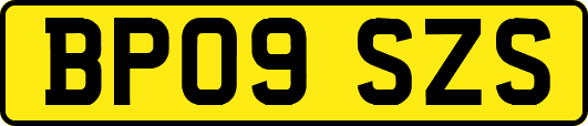 BP09SZS
