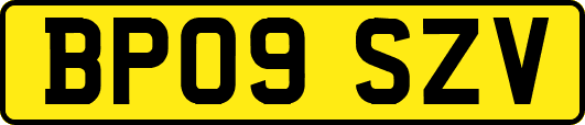 BP09SZV