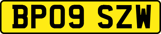 BP09SZW