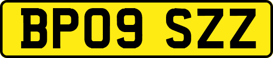BP09SZZ