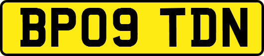 BP09TDN