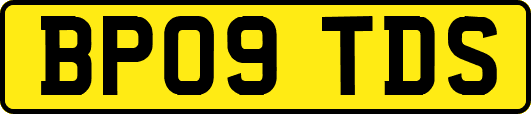 BP09TDS