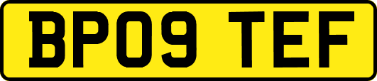 BP09TEF