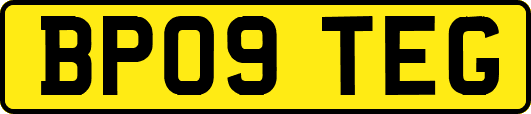 BP09TEG