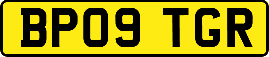 BP09TGR