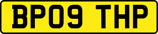 BP09THP