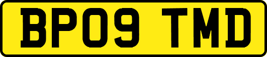 BP09TMD