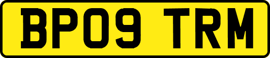 BP09TRM