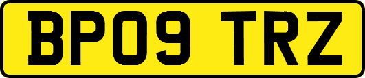 BP09TRZ