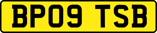 BP09TSB