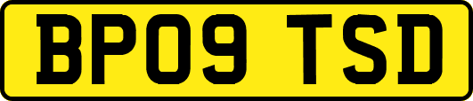 BP09TSD