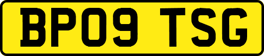 BP09TSG