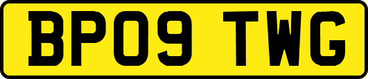 BP09TWG