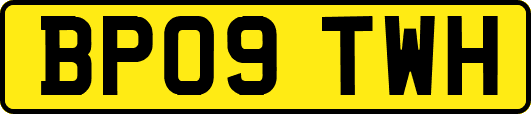 BP09TWH