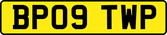 BP09TWP