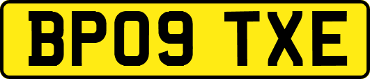 BP09TXE