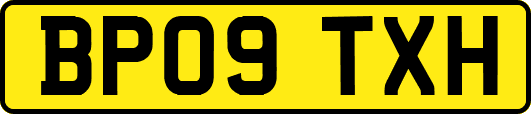 BP09TXH