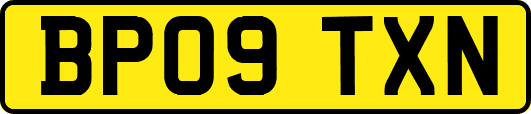BP09TXN