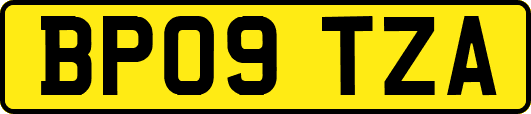BP09TZA