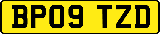 BP09TZD