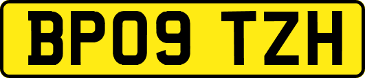BP09TZH