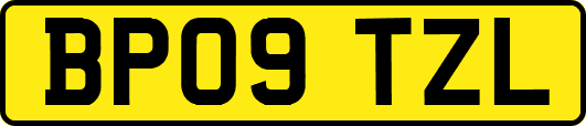 BP09TZL