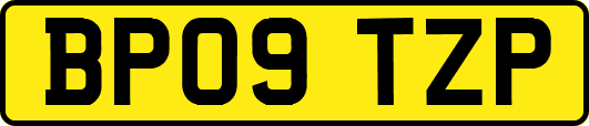 BP09TZP