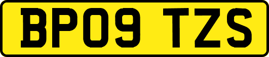 BP09TZS