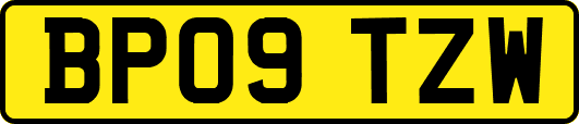 BP09TZW