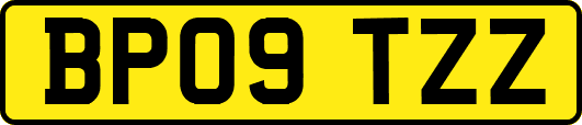 BP09TZZ