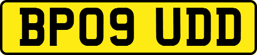 BP09UDD
