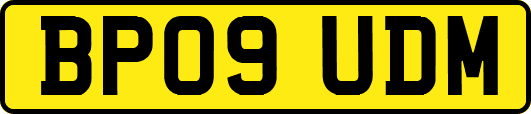 BP09UDM
