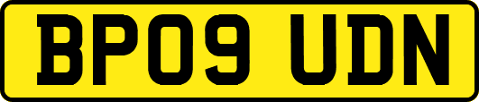 BP09UDN