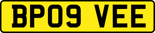 BP09VEE