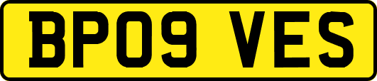 BP09VES