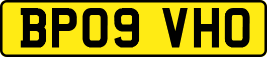 BP09VHO