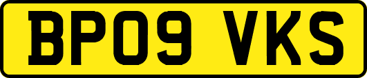 BP09VKS
