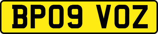 BP09VOZ