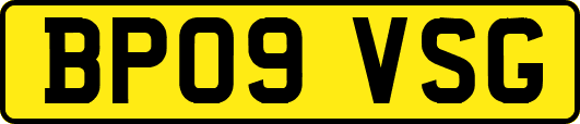 BP09VSG