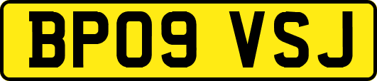 BP09VSJ