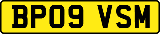 BP09VSM