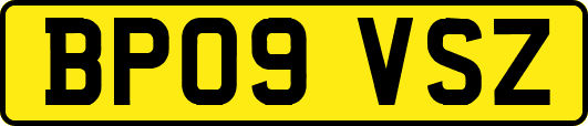 BP09VSZ