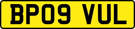 BP09VUL