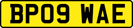 BP09WAE