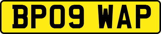 BP09WAP