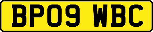 BP09WBC