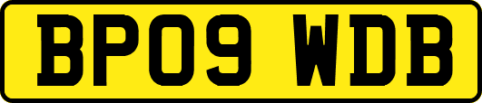 BP09WDB
