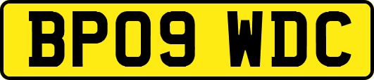 BP09WDC
